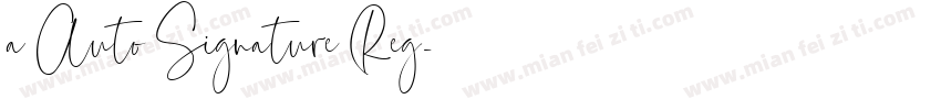 a Auto Signature Reg字体转换